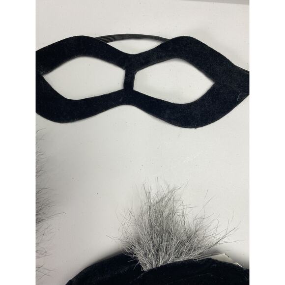 Sweet Raccoon Halloween Costume - Picture 8 of 10